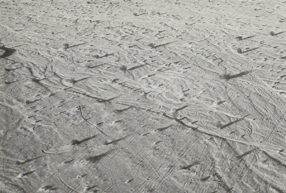 Empty desert starting area east of Barstow before the 1974 Barstow to Las Vegas race